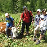 Appartamento Mooserhof *