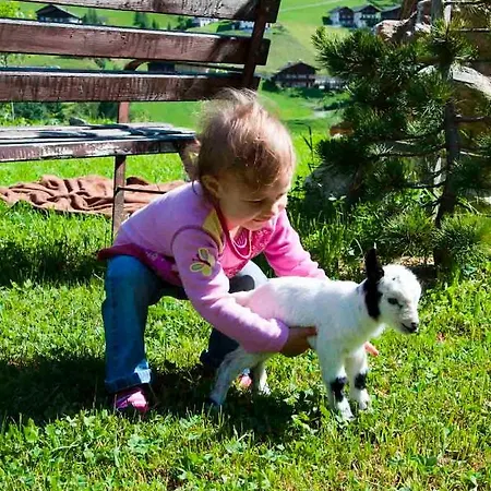 Mooserhof Maria Luggau